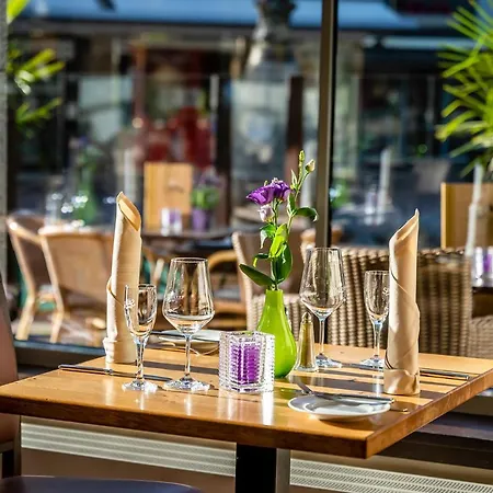 Insel 4* Bonn