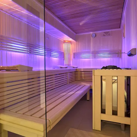 波恩因赛尔高级酒店 酒店 波恩