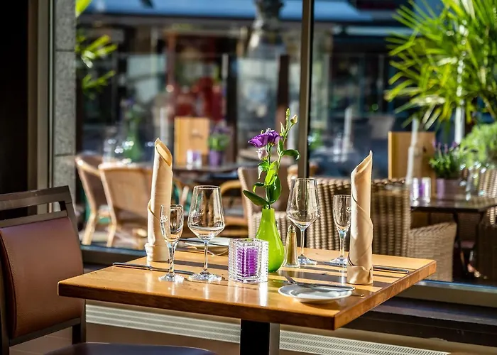 Insel 4* Bonn